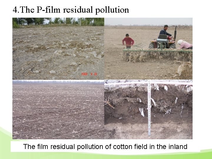 4. The P-film residual pollution The film residual pollution of cotton field in the