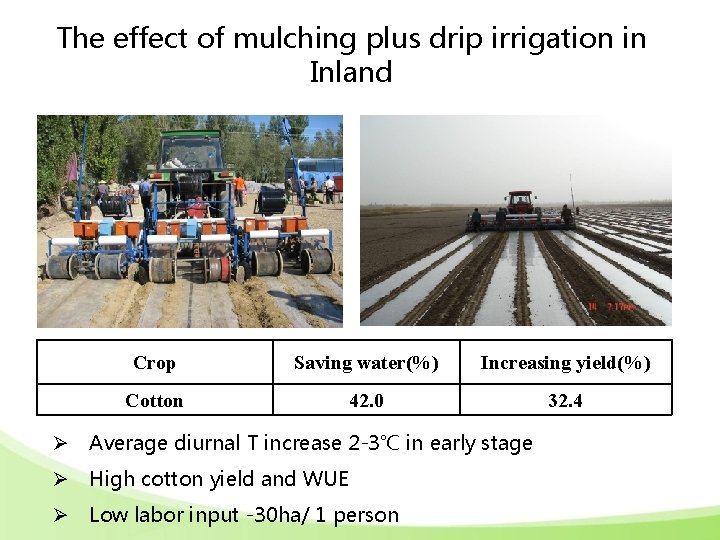 The effect of mulching plus drip irrigation in Inland Crop Saving water(%) Increasing yield(%)