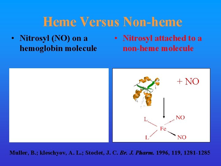 Heme Versus Non-heme • Nitrosyl (NO) on a hemoglobin molecule • Nitrosyl attached to