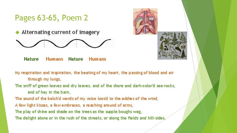 Pages 63 -65, Poem 2 Alternating current of imagery Nature Humans My respiration and Pages 63 -65, Poem 2 Alternating current of imagery Nature Humans My respiration and