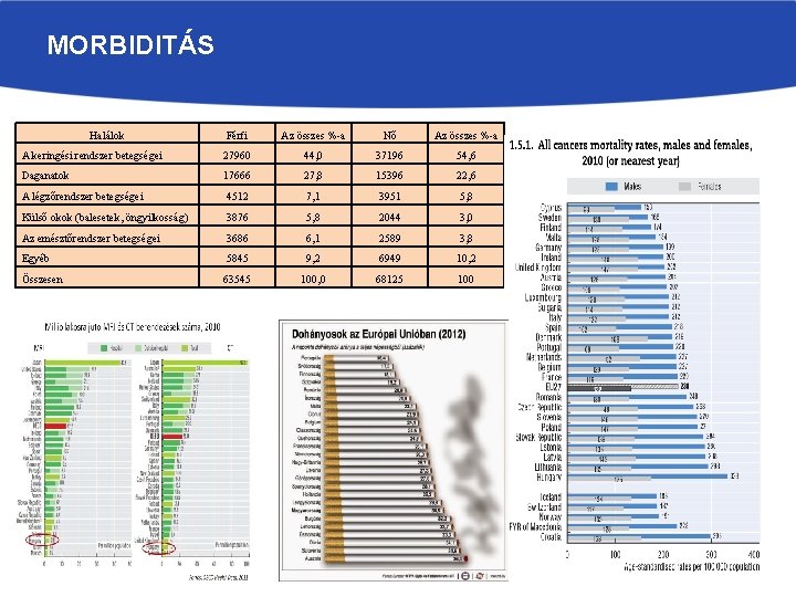 MORBIDITÁS Halálok Férfi • Poéilkl. iéuié Az összes %-a Nő Az összes %-a A