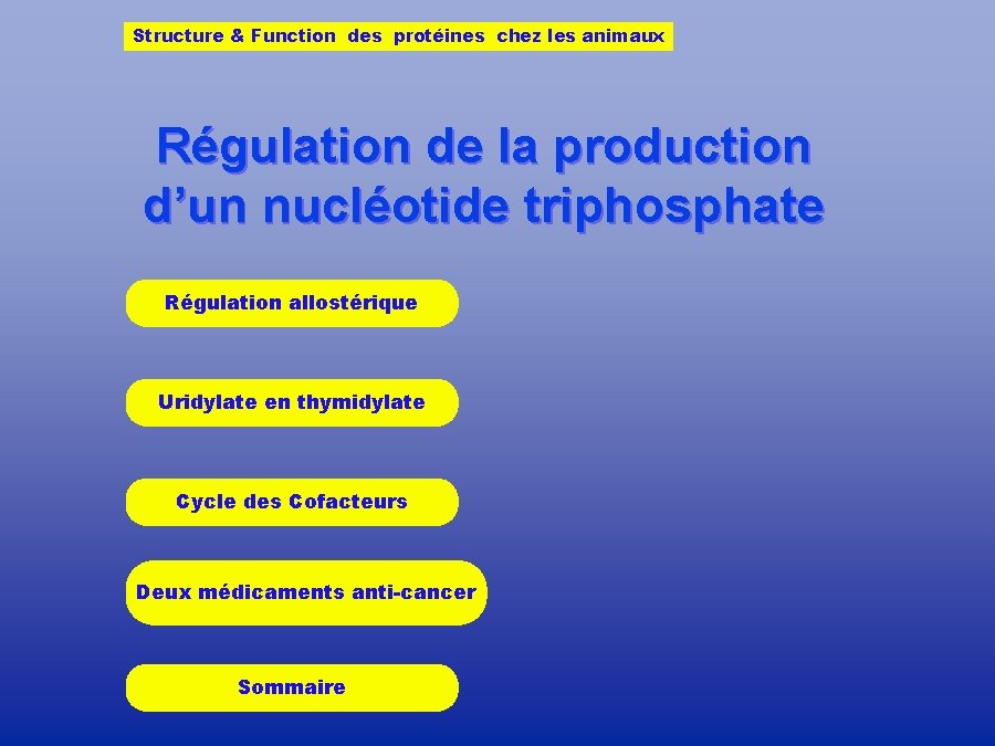 Structure & Function des protéines chez les animaux Régulation de la production d’un nucléotide