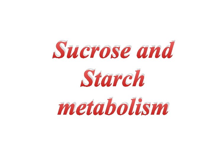 Sucrose and Starch metabolism 