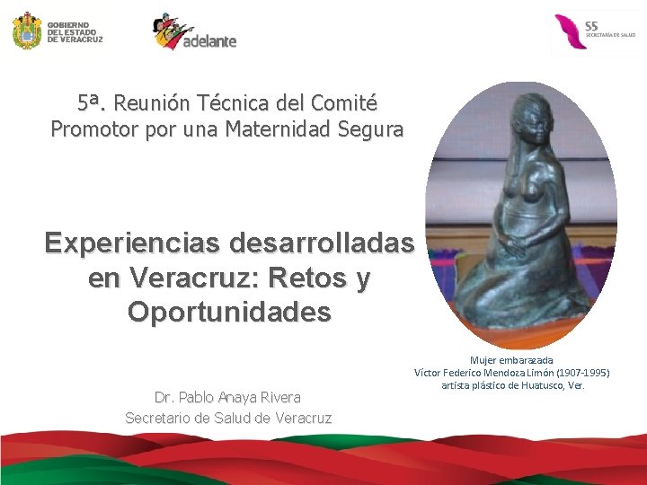 5ª. Reunión Técnica del Comité Promotor por una Maternidad Segura Experiencias desarrolladas en Veracruz: