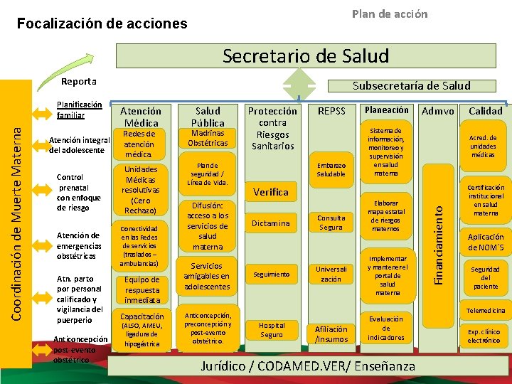 Plan de acción Focalización de acciones Secretario de Salud Reporta Atención Médica Salud Pública