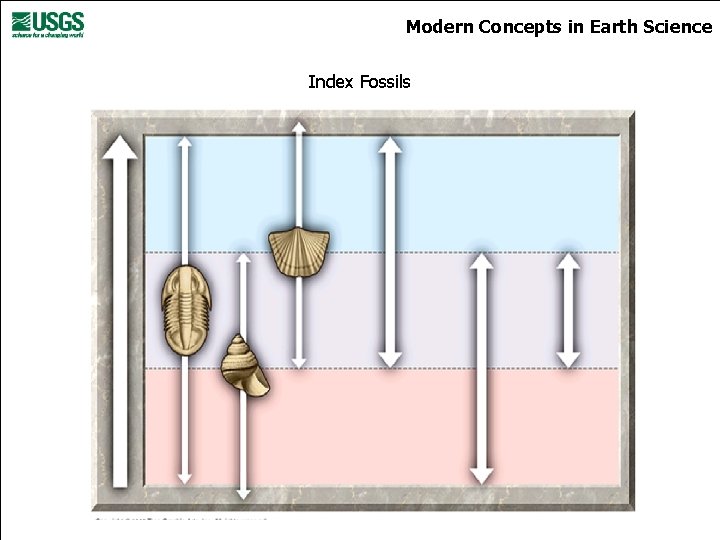 Modern Concepts in Earth Science Index Fossils 