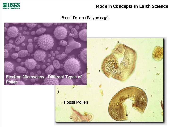 Modern Concepts in Earth Science Fossil Pollen (Palynology) Electron Microscopy - Different Types of