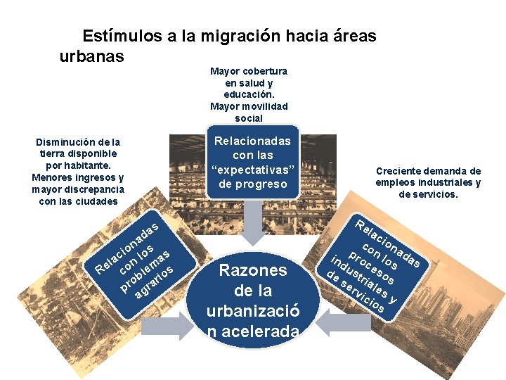 Estímulos a la migración hacia áreas urbanas Mayor cobertura en salud y educación. Mayor