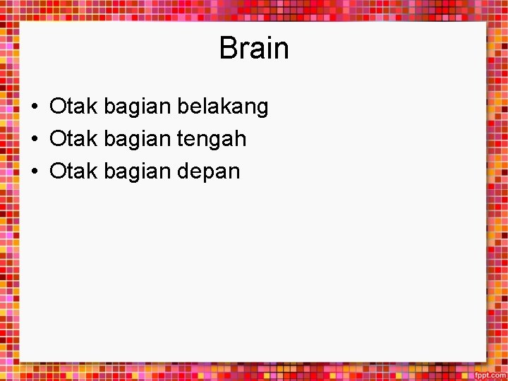 Brain • Otak bagian belakang • Otak bagian tengah • Otak bagian depan 