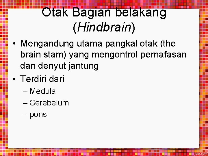 Otak Bagian belakang (Hindbrain) • Mengandung utama pangkal otak (the brain stam) yang mengontrol