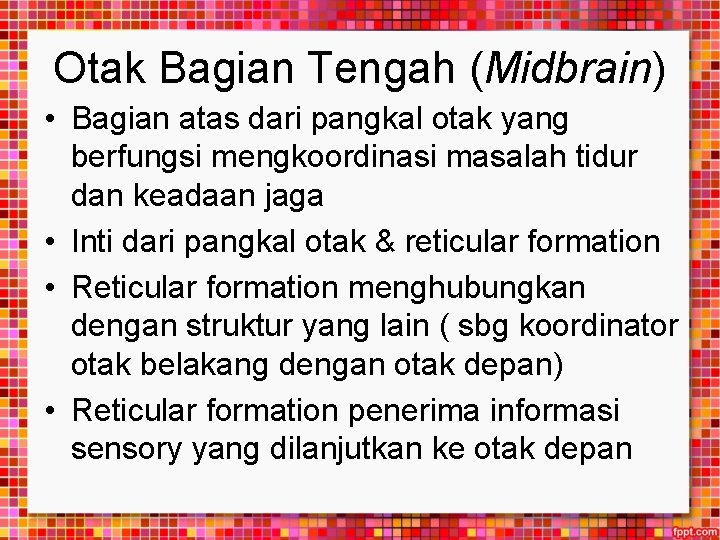 Otak Bagian Tengah (Midbrain) • Bagian atas dari pangkal otak yang berfungsi mengkoordinasi masalah