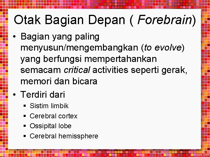 Otak Bagian Depan ( Forebrain) • Bagian yang paling menyusun/mengembangkan (to evolve) yang berfungsi