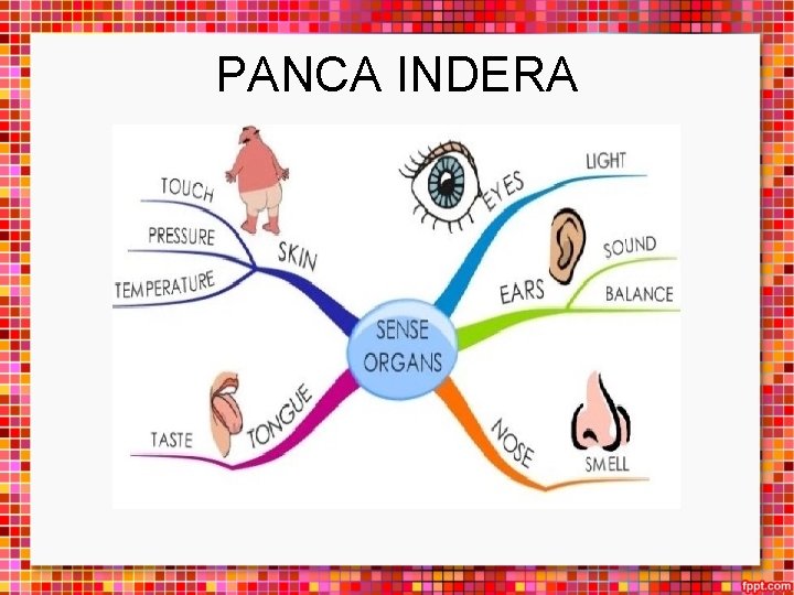 PANCA INDERA 