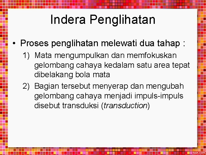 Indera Penglihatan • Proses penglihatan melewati dua tahap : 1) Mata mengumpulkan dan memfokuskan