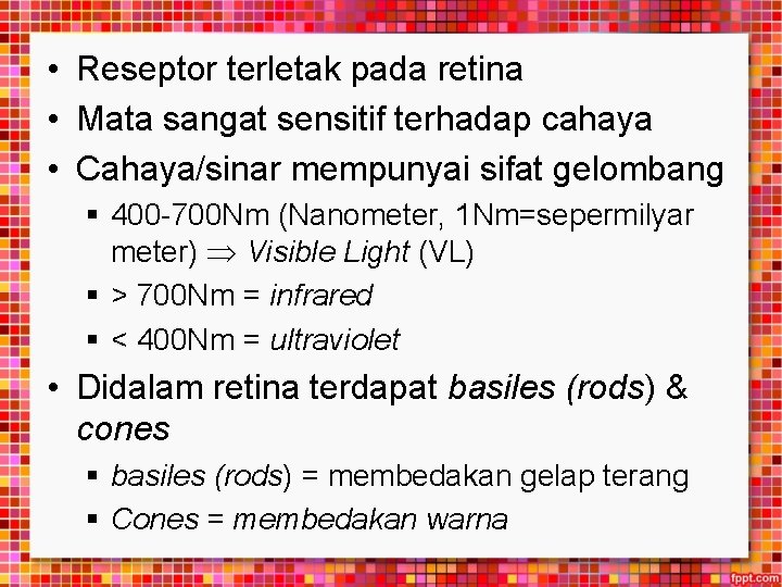  • Reseptor terletak pada retina • Mata sangat sensitif terhadap cahaya • Cahaya/sinar