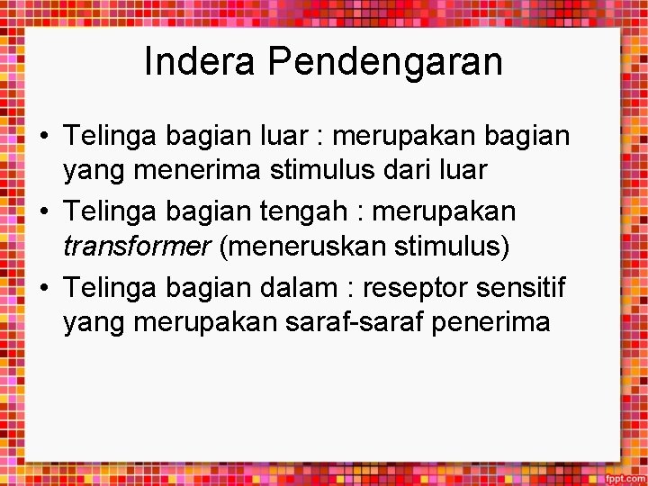 Indera Pendengaran • Telinga bagian luar : merupakan bagian yang menerima stimulus dari luar