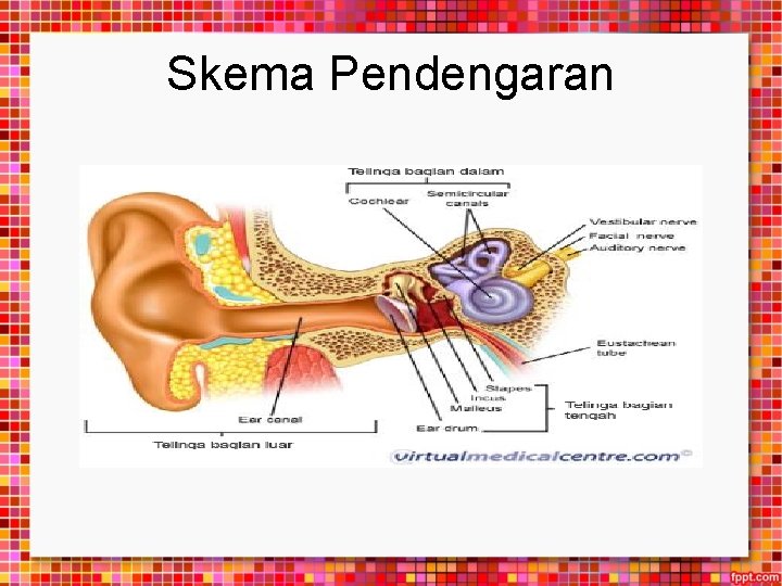 Skema Pendengaran 