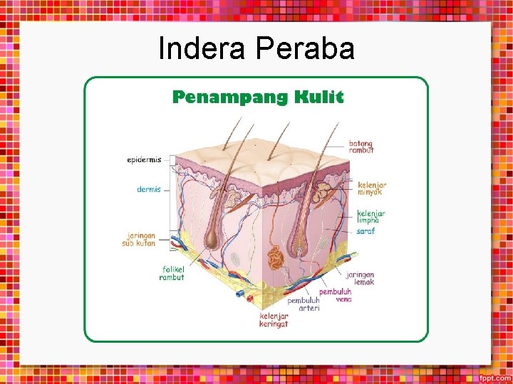 Indera Peraba 