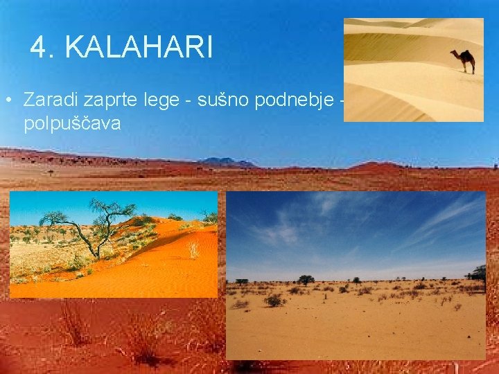 4. KALAHARI • Zaradi zaprte lege - sušno podnebje polpuščava 