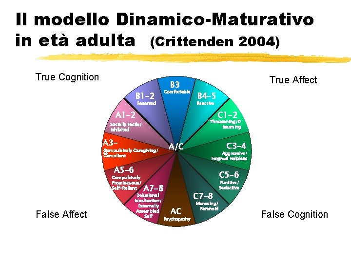 Il modello Dinamico-Maturativo in età adulta (Crittenden 2004) True Cognition B 1 -2 B Il modello Dinamico-Maturativo in età adulta (Crittenden 2004) True Cognition B 1 -2 B