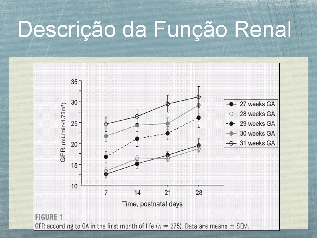 Descrição da Função Renal 