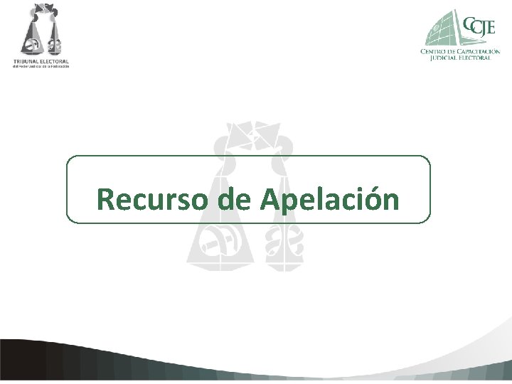 Haga clic para agregar texto de la Recurso de Apelación Constancia 