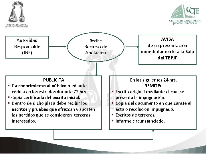 Autoridad Responsable (INE) AVISA de su presentación inmediatamente a la Sala del TEPJF Recibe