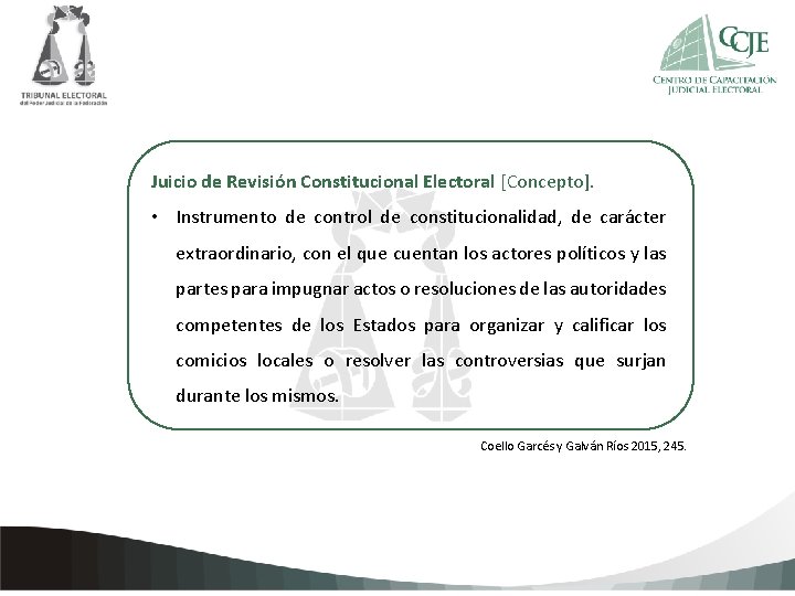 Juicio de Revisión Constitucional Electoral [Concepto]. • Instrumento de control de constitucionalidad, de carácter