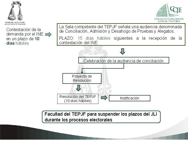 Contestación de la demanda por el INE en un plazo de 10 días hábiles