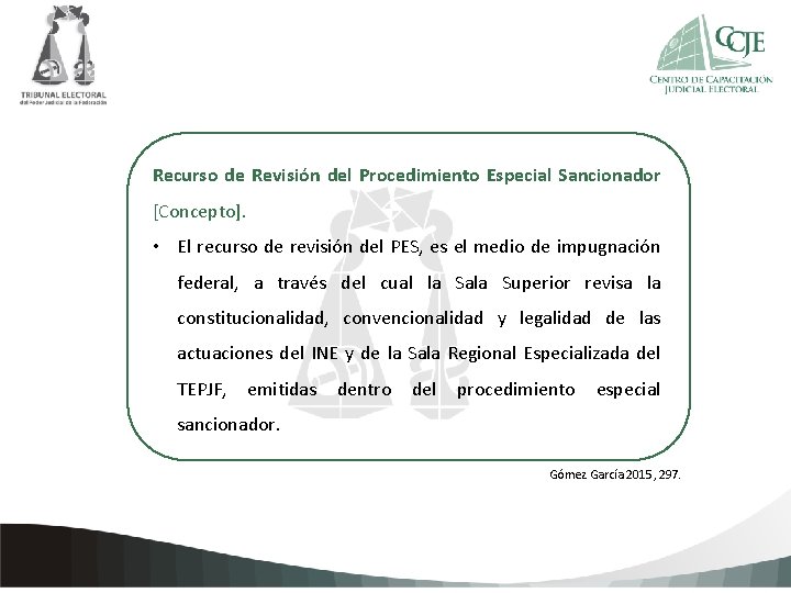 Recurso de Revisión del Procedimiento Especial Sancionador [Concepto]. Haga clic para agregar texto de