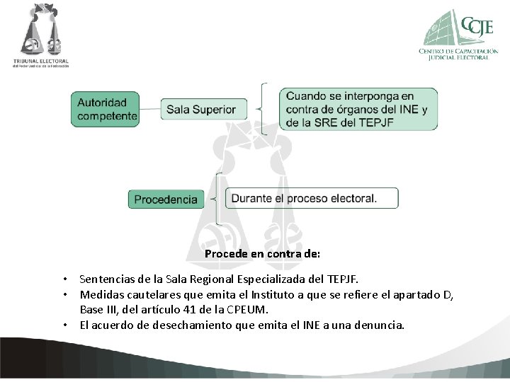 Haga clic para agregar texto de la Constancia Procede en contra de: • Sentencias