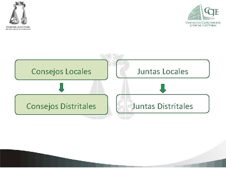 Locales Consejos Haga clic. Locales para agregar. Juntas texto de la Constancia Consejos Distritales