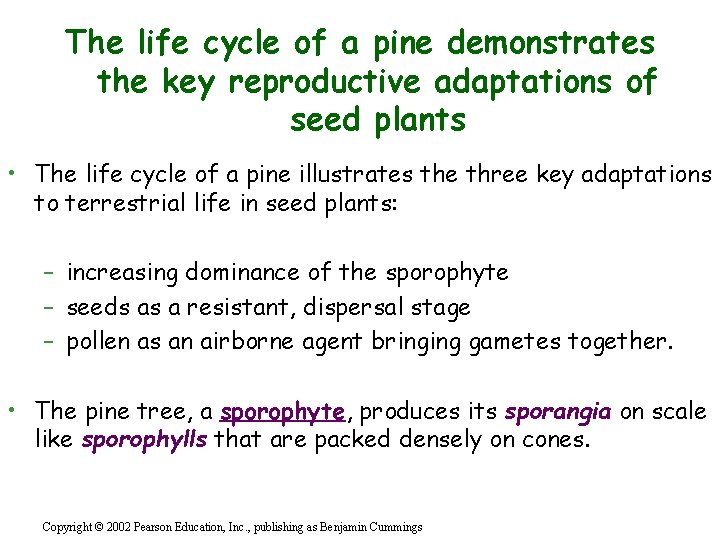 The life cycle of a pine demonstrates the key reproductive adaptations of seed plants