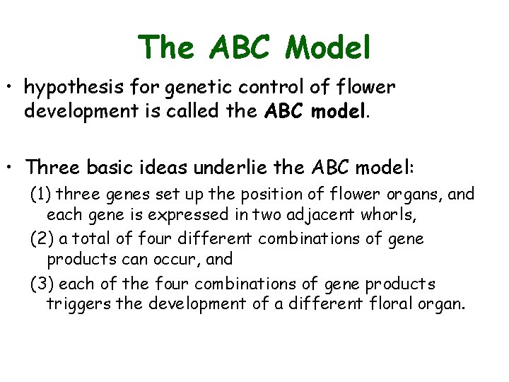 The ABC Model • hypothesis for genetic control of flower development is called the