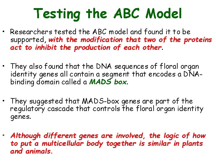 Testing the ABC Model • Researchers tested the ABC model and found it to