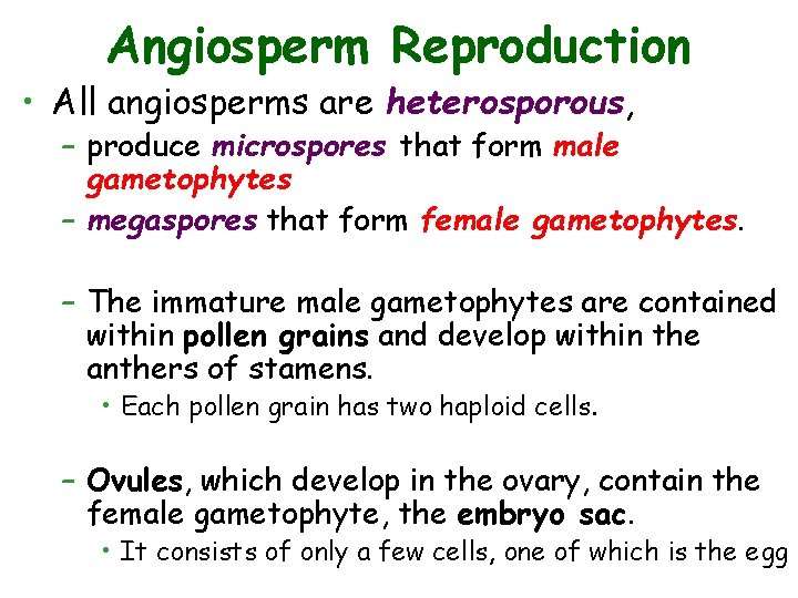 Angiosperm Reproduction • All angiosperms are heterosporous, – produce microspores that form male gametophytes