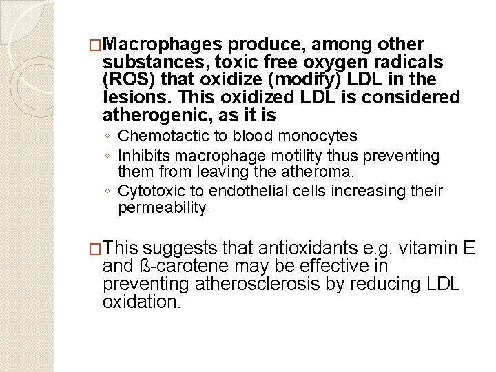 �Macrophages produce, among other substances, toxic free oxygen radicals (ROS) that oxidize (modify) LDL