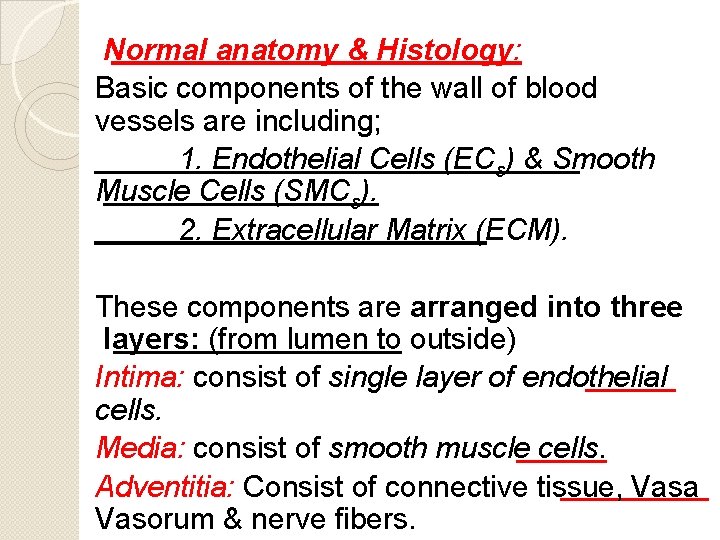 Normal anatomy & Histology: Basic components of the wall of blood vessels are including;