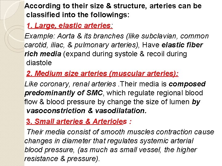 According to their size & structure, arteries can be classified into the followings: 1.