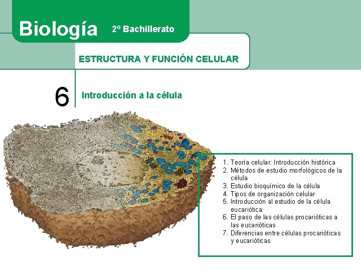 Biología 2º Bachillerato ESTRUCTURA Y FUNCIÓN CELULAR 6 Introducción a la célula 1. Teoría