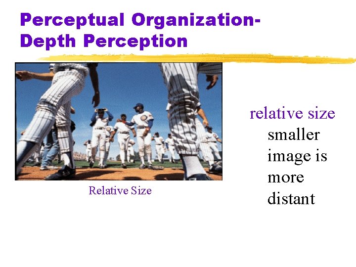 Perceptual Organization. Depth Perception Relative Size relative size smaller image is more distant 