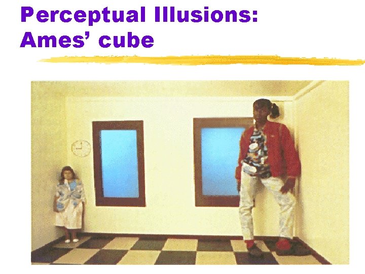 Perceptual Illusions: Ames’ cube 