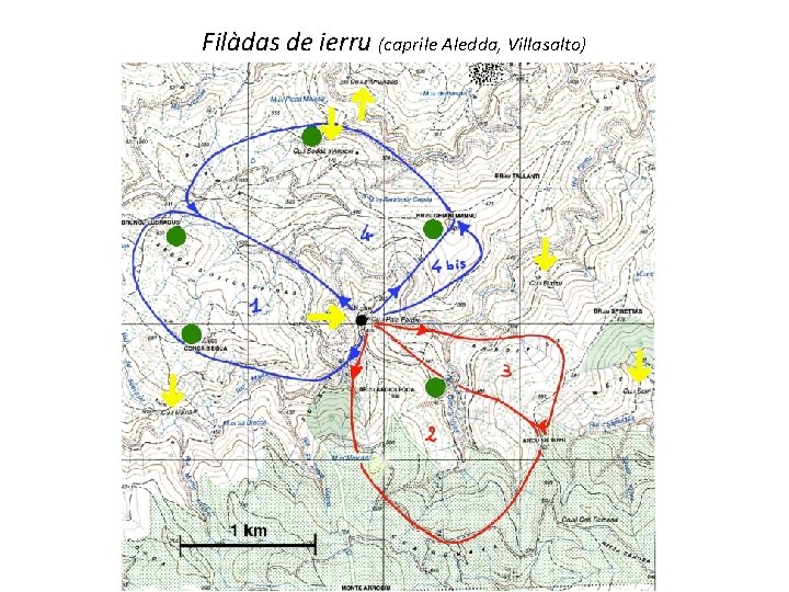 Filàdas de ierru (caprile Aledda, Villasalto) 