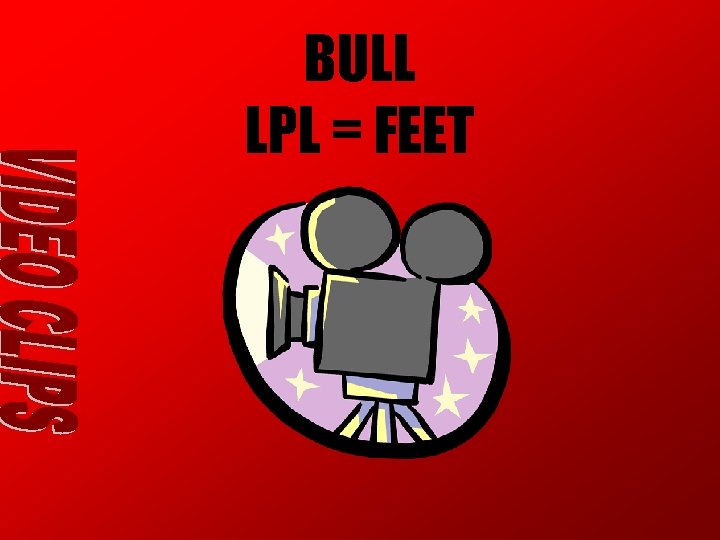 BULL LPL = FEET BULL LPL = FEET