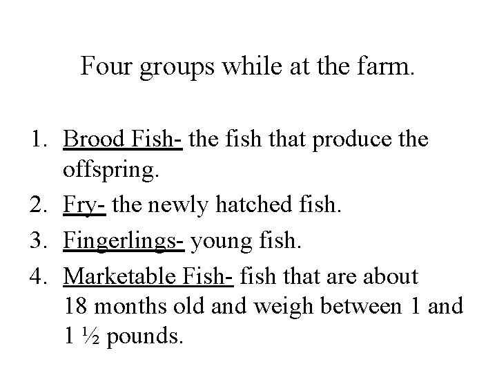 Four groups while at the farm. 1. Brood Fish- the fish that produce the