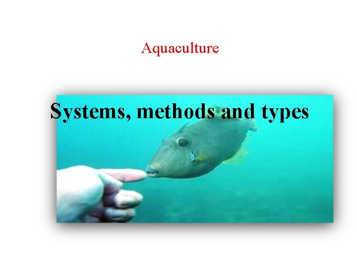 Aquaculture Systems, methods and types 