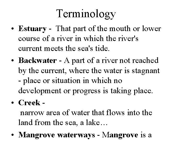 Terminology • Estuary - That part of the mouth or lower course of a