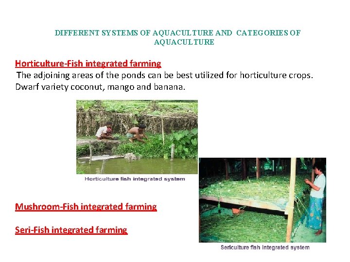 DIFFERENT SYSTEMS OF AQUACULTURE AND CATEGORIES OF AQUACULTURE Horticulture-Fish integrated farming The adjoining areas