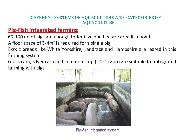 DIFFERENT SYSTEMS OF AQUACULTURE AND CATEGORIES OF AQUACULTURE Pig-Fish integrated farming 60 -100 no