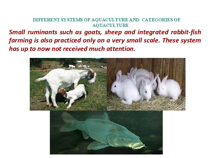 DIFFERENT SYSTEMS OF AQUACULTURE AND CATEGORIES OF AQUACULTURE Small ruminants such as goats, sheep